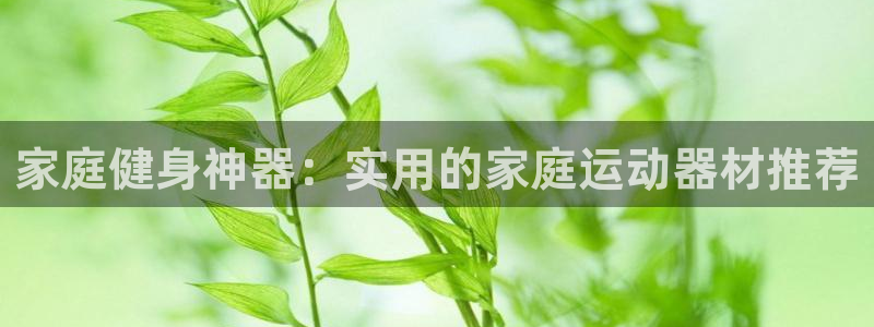 德国BWIN体育官方正版app集团:家庭健身神器:实用的家庭