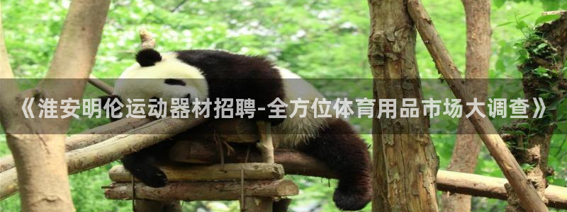 BWIN体育官方正版app娱乐首页网站大全:《淮安明伦运动器